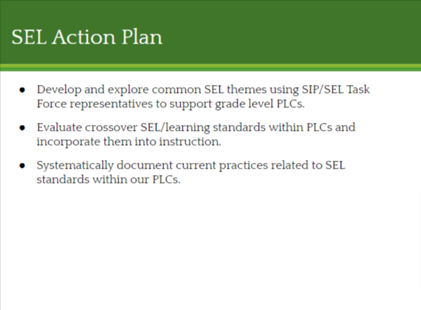 SEL Action Plan